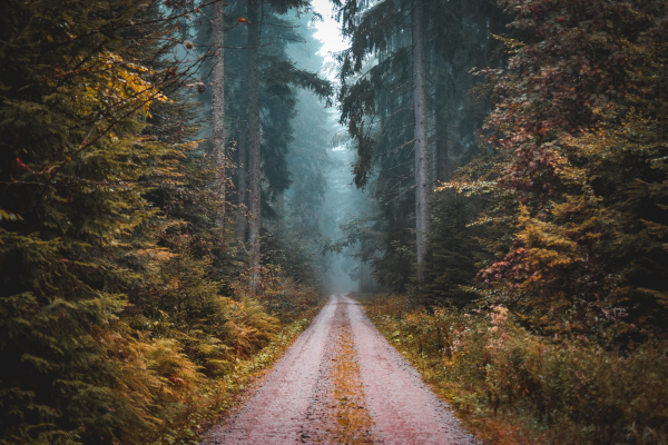 Gorakhpur to Nepal adventure trip