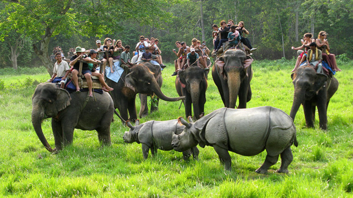 Chitwan Jungle Safari Tour